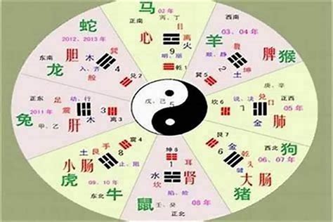 書五行|书字的五行属性